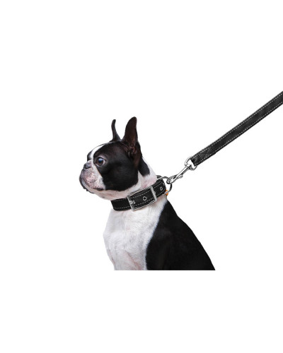 Повідець "Dog Extreme" з нейлону подвійний (ширина 20мм, довжина 122см), чорний
