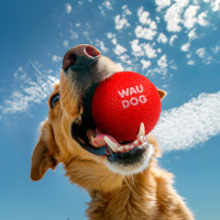 Іграшка для собак WAUDOG Fun Red Ball, спінений термопластичний поліуретан, 70 мм