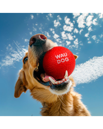 Іграшка для собак WAUDOG Fun Red Ball, спінений термопластичний поліуретан, 70 мм