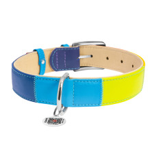 Нашийник для собак шкіряний WAUDOG Glamour з QR паспортом, "Веселка", XL, Ш 35 мм, Дов 46-60 см