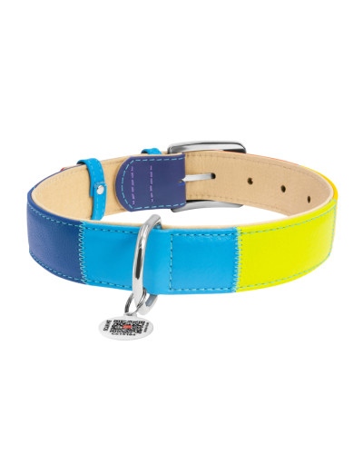 Нашийник для собак шкіряний WAUDOG Glamour з QR паспортом, "Веселка", XL, Ш 35 мм, Дов 46-60 см