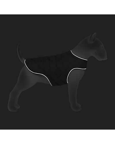 Курточка-накидка для собак WAUDOG Clothes, малюнок "Сміливість", S, А 32 см, B 41-51 см, С 25-35 см