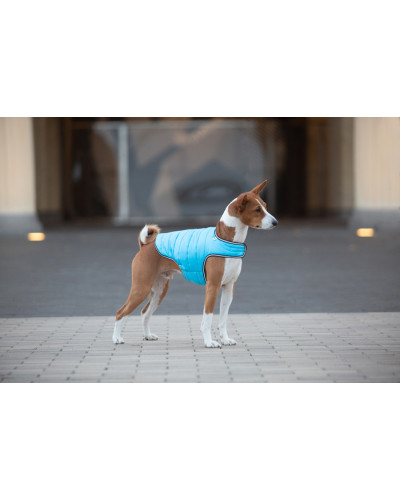 Куртка-накидка для собак AiryVest, XL, B 68-80 см, С 42-52 см блакитний