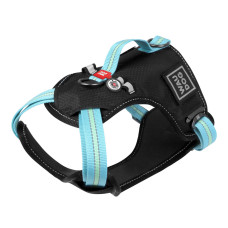Шлея для собак безпечна WAUDOG Nylon з QR паспортом, металічна пряжка-фастекс, XL, Ш 25 мм, А 60-95 см, В 80-100 см блакитний