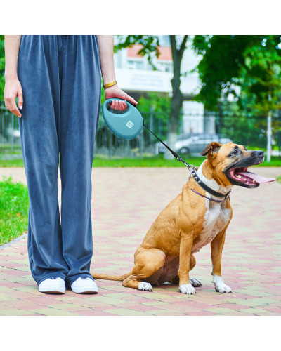 Повідець-рулетка для собак WAUDOG R-leash з контейнером для пакетів, світловідбивна стрічка, L, до 40 кг, 5 м, блакитний