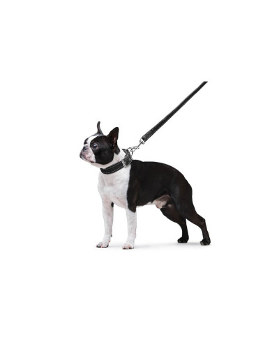 Повідець "Dog Extreme" з нейлону подвійний (ширина 20мм, довжина 122см), чорний
