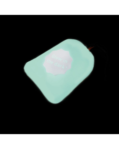 Курточка для собак AiryVest Lumi двостороння, світиться в темряві, розмір XS 30, салатово-голуба