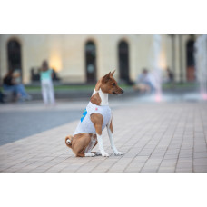 Майка для собак WAUDOG Clothes малюнок "Сміливість", S30, B 54-60 см, С 33-38 см