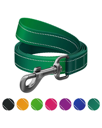 Повідець для собак нейлоновий WAUDOG Nylon Mono, світловідбивний, S, Ш 15 мм, Дов 122 см зелений