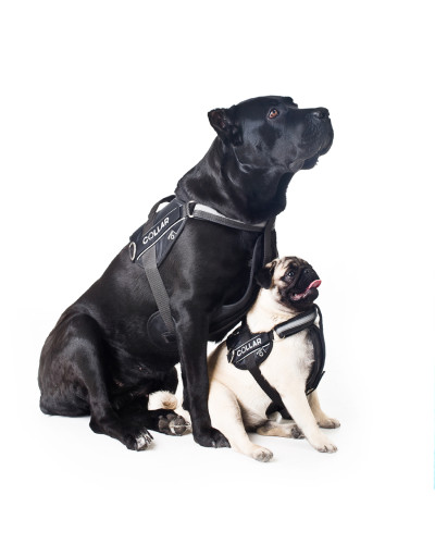 Шлея "Dog Extreme" "POLICE" №2 (В:40-60см), чорний