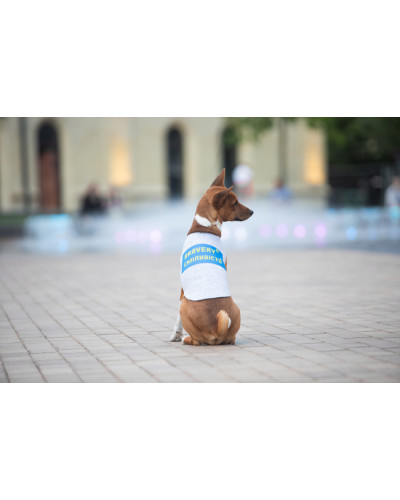 Майка для собак WAUDOG Clothes малюнок "Сміливість", S35, B 48-54 см, С 28-33 см
