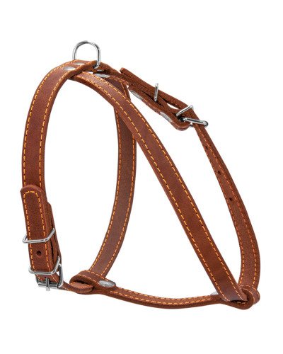 Шлея "CoLLaR" одинарна для малих порід собак (ширина 14мм, А:40-48см, В:43-51см) коричневий