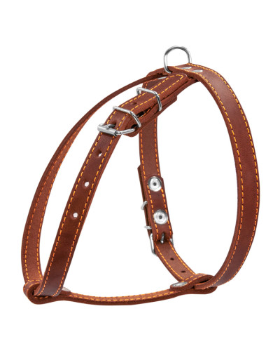 Шлея "CoLLaR" одинарна для малих порід собак (ширина 14мм, А:40-48см, В:43-51см) коричневий