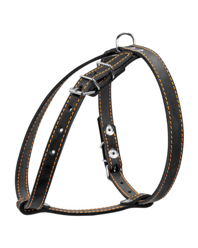 Шлея "CoLLaR" одинарна для малих порід собак (ширина 14мм, А:40-48см, В:43-51см) чорний