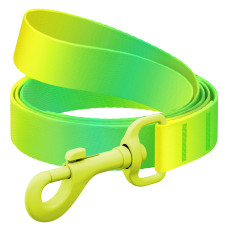 Повідець для собак з нейлону WAUDOG Nylon Recycled, градієнт, кольоровий карабін, M, Ш 20 мм, Д 200 cм, салатовий