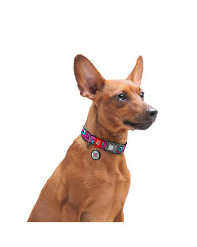 Нашийник для собак нейлоновий WAUDOG Nylon з QR паспортом, малюнок "Око монстра", пластиковий фастекс, S, Ш 15 мм, Дов 25-35 см