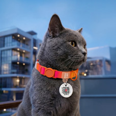 Нашийник для котів нейлоновий WAUCAT Nylon Recycled з QR адресником, градієнт, безпечна пряжка, XS, Ш 10 мм, Дов 20-30 см, помаранчевий