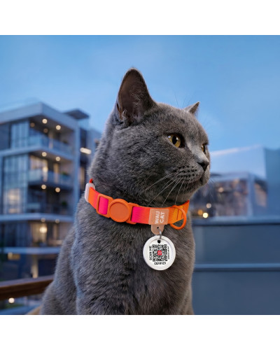 Нашийник для котів нейлоновий WAUCAT Nylon Recycled з QR адресником, градієнт, безпечна пряжка, XS, Ш 10 мм, Дов 20-30 см, помаранчевий