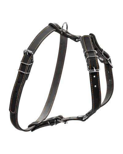 Шлея "CoLLaR" одинарна для малих та середніх собак (ширина 20мм, А:40-56см, В:57-65см) чорний