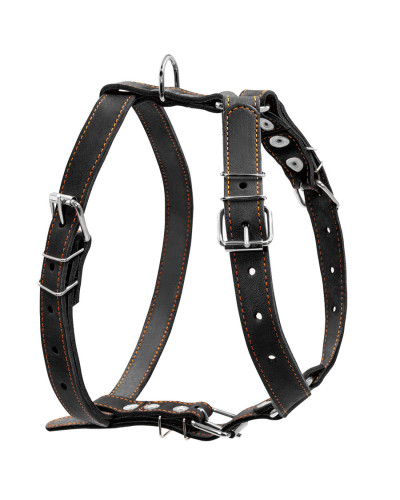 Шлея "CoLLaR" одинарна для середніх собак (ширина 25мм, А:49-68см, В:68-80см) чорний