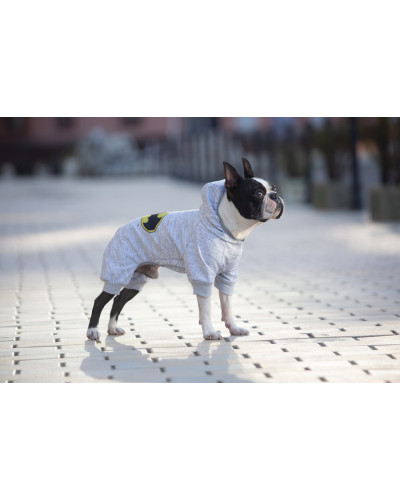 Комбінезон для собак WAUDOG Clothes малюнок "Бетмен лого", софтшелл, M45, B 53-59 см, С 38-42 см