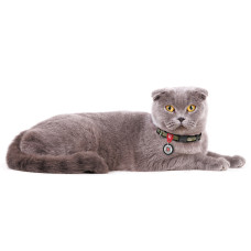 Нашийник для котів та дрібних порід собак нейлоновий WAUDOG Nylon з QR-паспортом, малюнок "Мілітарі", пластиковий фастекс, XS, Ш 10 мм, Дов 20-30 см