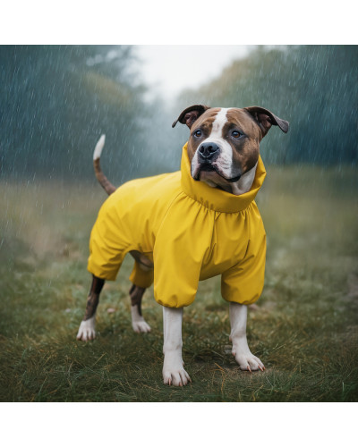 Дощовик для собак WAUDOG Clothes, водонепроникний, S40, В 56-59 см, С 37-40 см, жовтий
