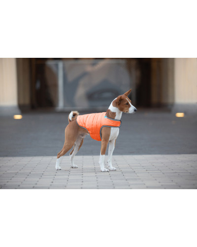 Куртка-накидка для собак AiryVest, XL, B 68-80 см, С 42-52 см помаранчевий