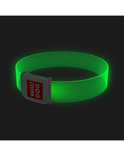Нашийник для собак з підсвічуванням WAUDOG LED, магнітна застібка, Ш 25 мм, Дов 35 см