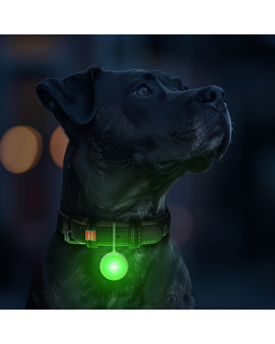 Ліхтарик для собак і котів WAUDOG LED, у силіконовому чохлі, що світиться, USB, Д 37 мм