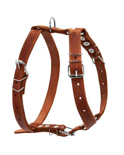 Шлея "CoLLaR" одинарна для середніх собак (ширина 25мм, А:49-68см, В:68-80см) коричневий
