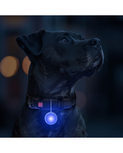 Ліхтарик для собак і котів WAUDOG LED, у силіконовому чохлі, що світиться, USB, Д 37 мм