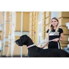 Повідець WAUDOG Design з малюнком  "Пончики" (ширина 25 мм, довжина 122 см) білий