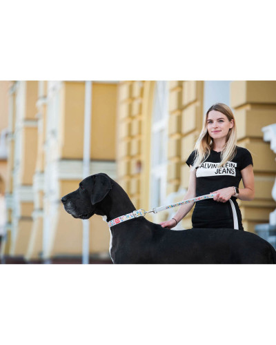 Повідець WAUDOG Design з малюнком "Пончики" (ширина 25 мм, довжина 122 см) білий