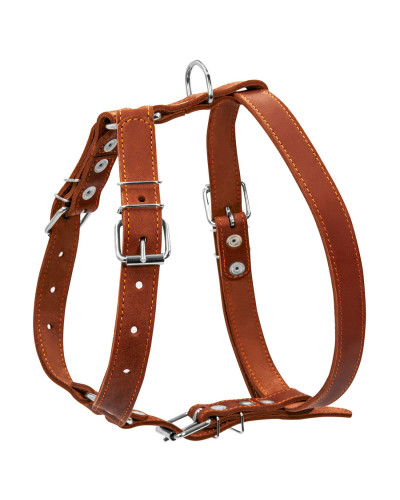 Шлея "CoLLaR" одинарна для середніх собак (ширина 25мм, А:49-68см, В:68-80см) коричневий