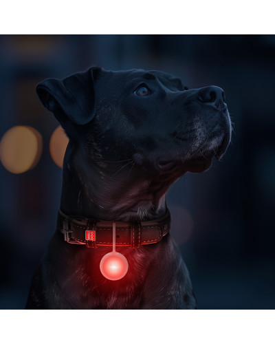 Ліхтарик для собак і котів WAUDOG LED, у силіконовому чохлі, що світиться, USB, Д 37 мм