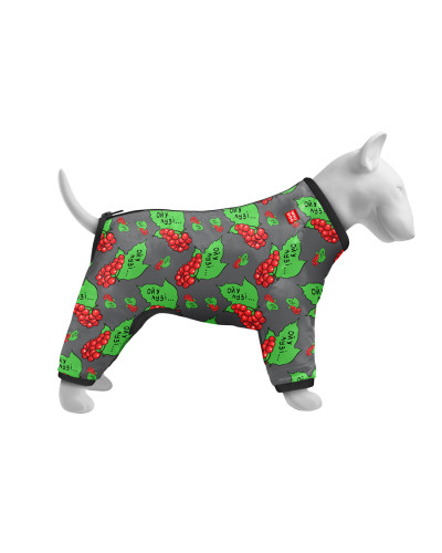 Вітровка для собак WAUDOG Clothes, малюнок "Калина", S40, В 56-59 см, С 37-40 см
