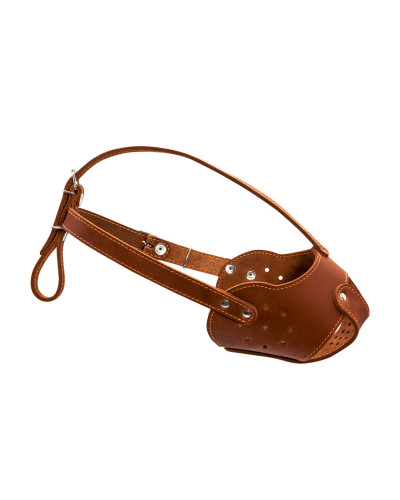 Намордник "CoLLaR" (стафф) коричневий