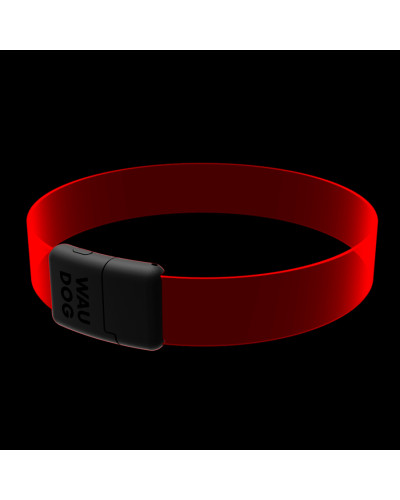Нашийник для собак з підсвічуванням WAUDOG LED, RGB, Type-C, регульований, Ш 25 мм, Дов 60 см