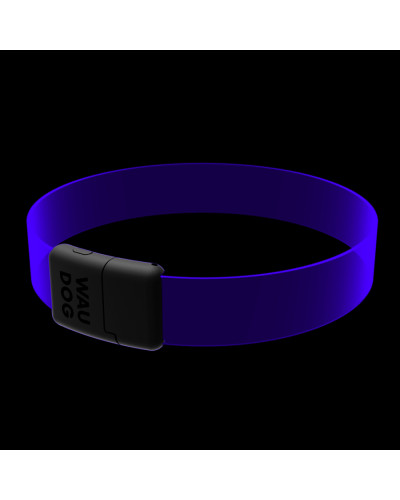 Нашийник для собак з підсвічуванням WAUDOG LED, RGB, Type-C, регульований, Ш 25 мм, Дов 60 см