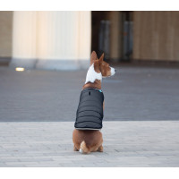 Куртка-накидка для собак AiryVest, XL, B 68-80 см, С 42-52 см чорний