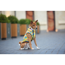 Курточка для собак WAUDOG Clothes малюнок "Рік та Морті 3", L65, В 87-90 см, С 60-65 см