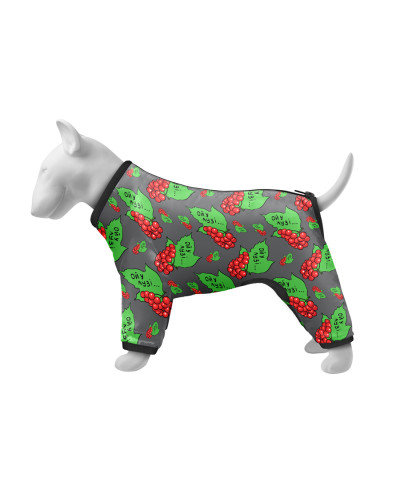 Вітровка для собак WAUDOG Clothes, малюнок "Калина", S35, В 47-51 см, С 35-39 см