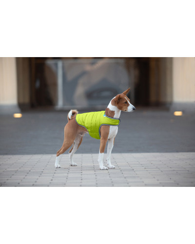 Куртка-накидка для собак AiryVest, XL, B 68-80 см, С 42-52 см салатовий