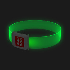 Нашийник для собак з підсвічуванням WAUDOG LED, магнітна застібка, Ш 25 мм, Дов 45 см