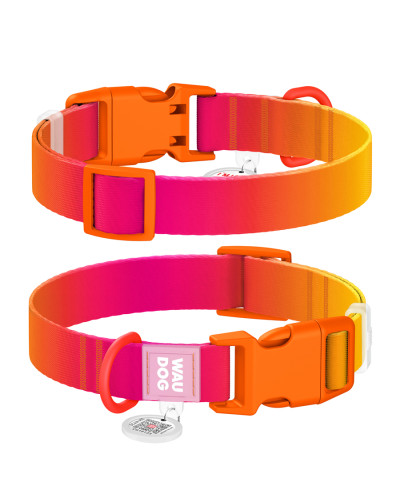 Нашийник для собак з нейлону WAUDOG Nylon Recycled c QR паспортом, градієнт, пластиковий фастекс, XL, Ш 25 мм, Дов 37-58 см, помаранчевий